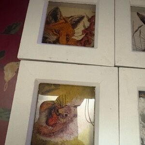 White Framed Animal Art Prints